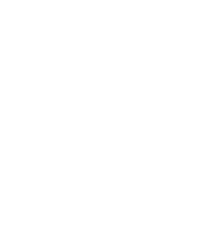 Funny Brain Sketch Graphic Women's Classic T-Shirt