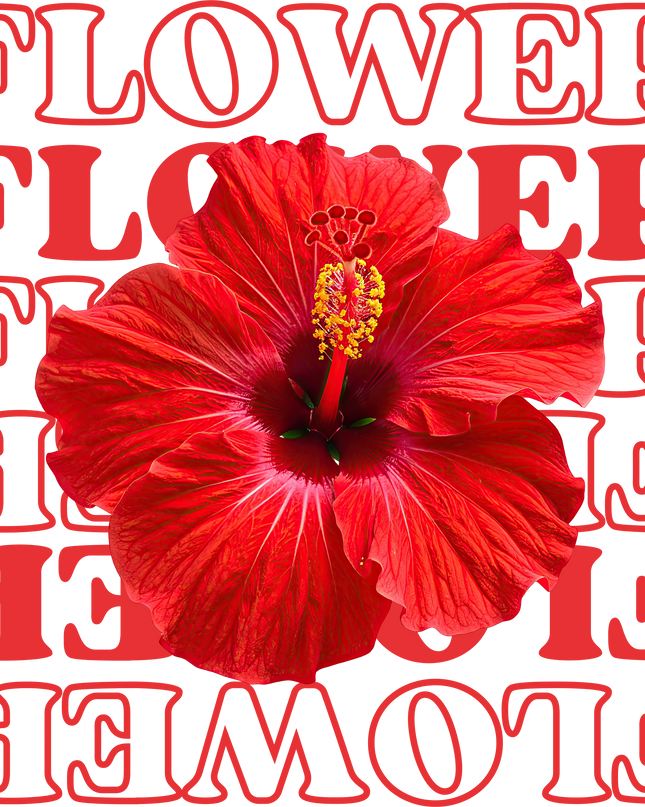 Flower Graphic Women's Classic T-Shirt