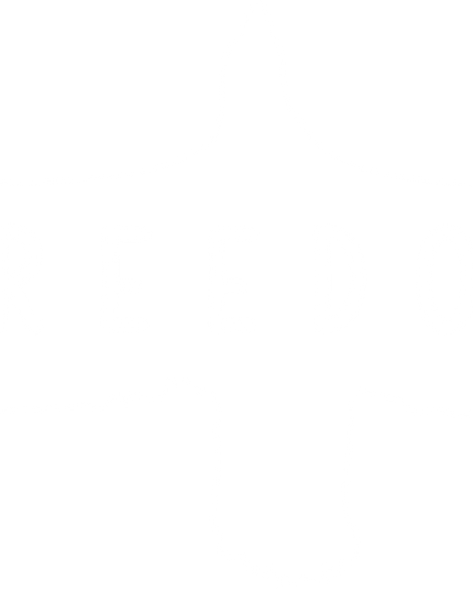 Freedom Wings Graphic Unisex Classic Crew T-Shirt