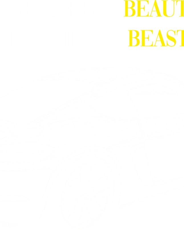 Look Like A Beauty Ride Like A Beast Car Graphic Unisex Classic Crew T-Shirt