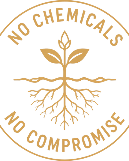 No Chemicals No Compromise Graphic Oversized Classic T-Shirt
