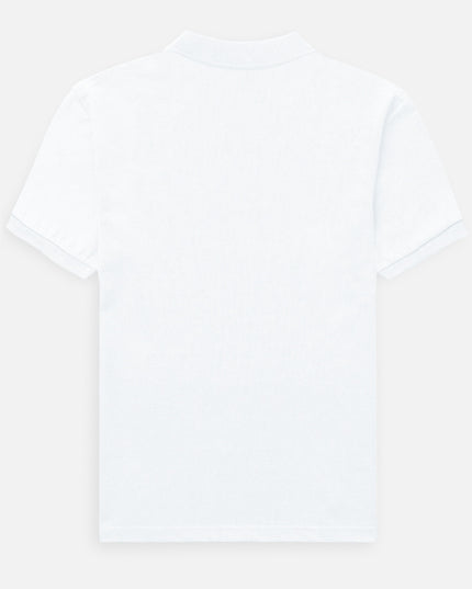Back_3_c_1.jpg